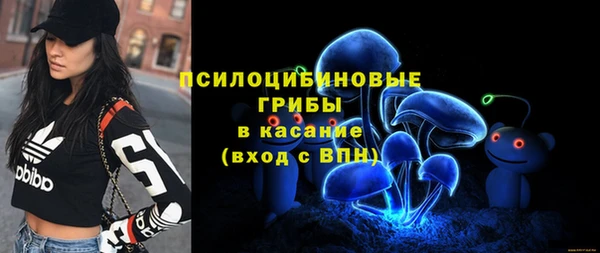 дурь Алексеевка