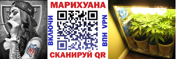 Конопля индика  МЕГА зеркало  Можга 